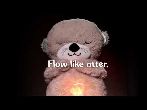 Fisher Price Migdukas Ūdrytė video