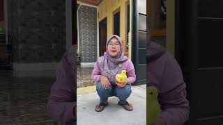 Download lagu The sound of chickens and ducks laughing #funny #shorts mp3 Download lagu The sound of chickens and ducks laughing #funny #shorts mp3