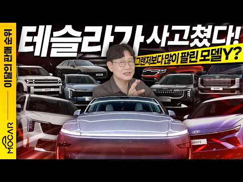 자동차 판매 순위, 대한민국이 바뀌는게 보인다!...테슬라는 사고쳤네