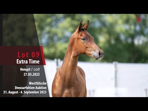 Dressurfohlen-Auktion Lot 09 Extra Time Hengst v. Extra Gold - Fürsten Look