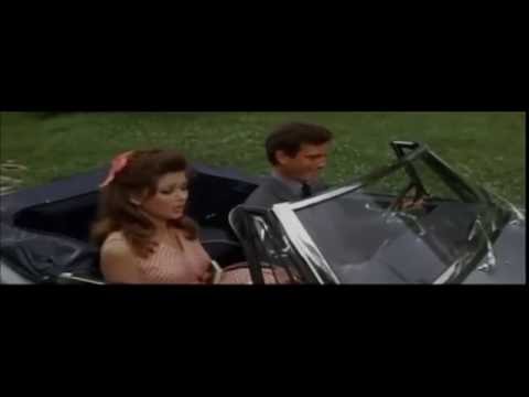 The Pleasure Seekers 1964