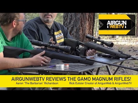 Gamo Magnum .177 and .22 FULL REVIEW – AirgunWebTV Special Feature!
