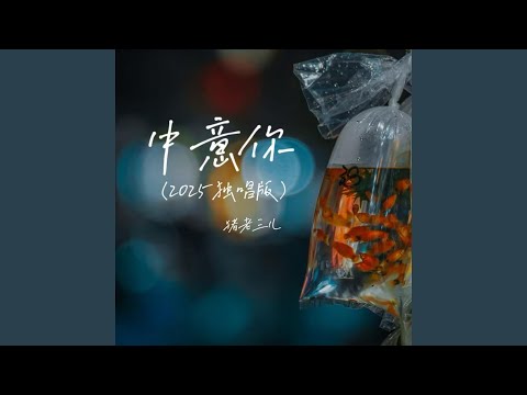 中意你 (2025独唱版)