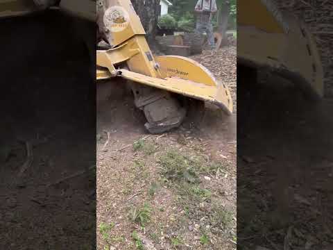 Stump removal at 10x speed!