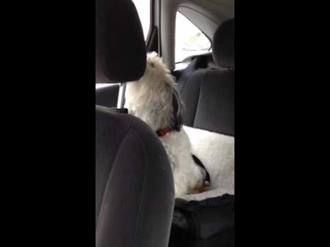 Emma singt GILA ANTARA "We can fly" - Part 2