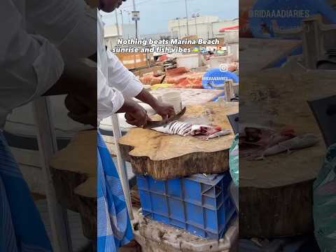 The best time to visit Marina Beach is early morning 🙌🌊🐚🏖️#chennai #marina #marinabeach