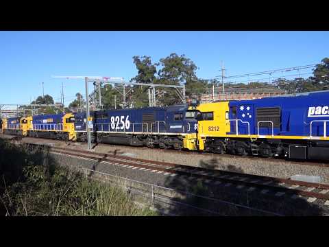 Quad 82's lead PN empty coal CA79 - 16/6/18