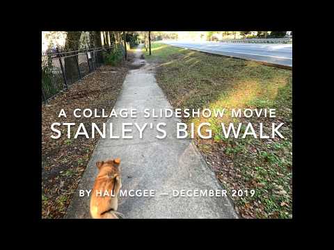 Stanley's Big Walk — Collage Slideshow Movie