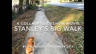 Stanley's Big Walk — Collage Slideshow Movie
