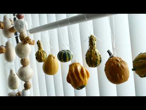 75 jaar Bevrijding Leudal, Jan Klerken uit Nunhem