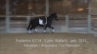 Video koně Frederico