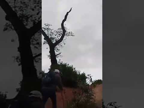 Monte Bello, San Pedro de Colalao Tucumán Rep Arg