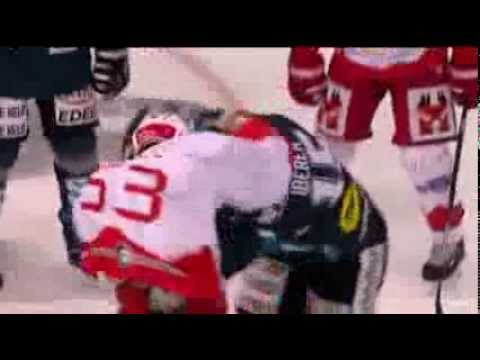 Žiga Pance vs Matthias Iberer fight (10.1.2014)