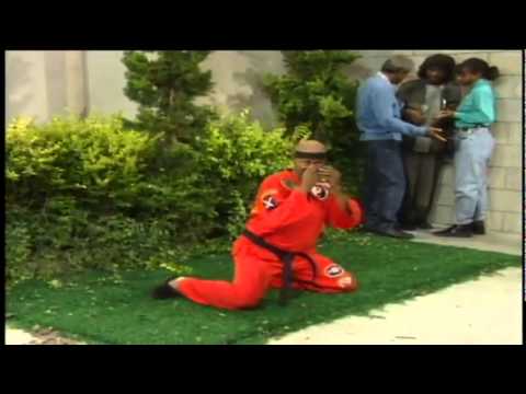 Martin(Dragon Fly Jones at the ATM)