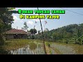Rumah Di Pingir Sawah Di Kelilingi Gunung Dan Perbukitan