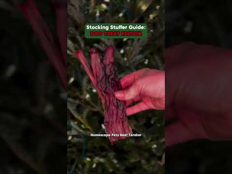 Stocking Stuffer Gift Guide: Dog Edition You can’t go wrong with these 4 dog treats this Christmas: