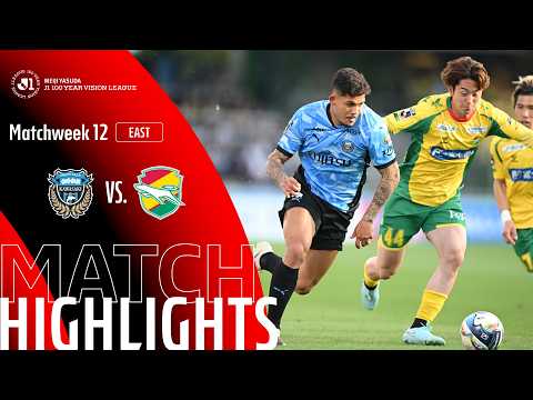 bg-highlight