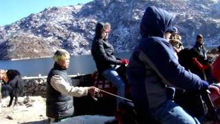 preview picture of video 'Amazing Yak Ride in Gangtok'