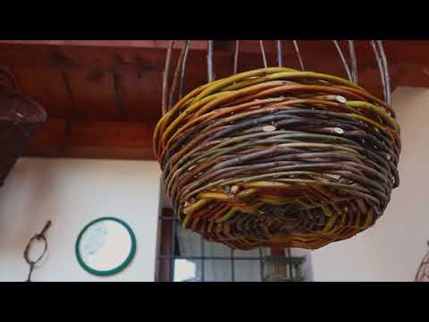 Breve storia di un coltivatore di salici