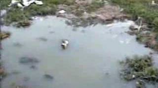 Maná - Dónde Jugarán Los Niños  Contaminación Aguascalientes