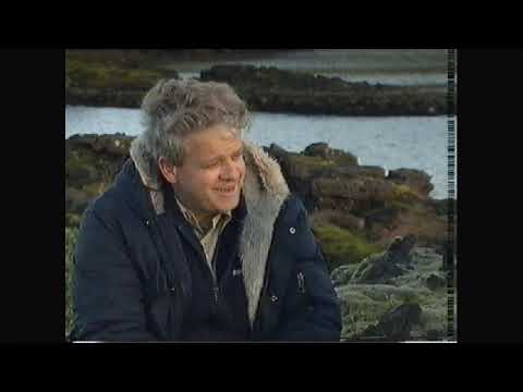 Draumalandið Ísland. 1.   1991.  Sp.  339.