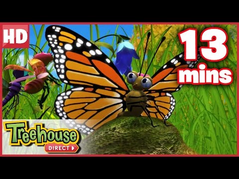 Miss Spider: The Befuddled Butterfly – Ep.40B | HD Cartoons - Kids TV Series, Kingdom Kids Zone - Treehouse Direct