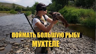 Ссылка