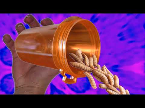 Another day at the office