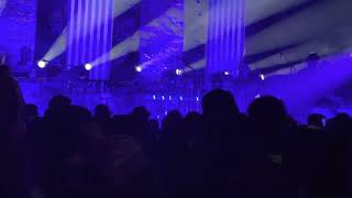 les claypool’s fearless flying frog brigade - david makalaster