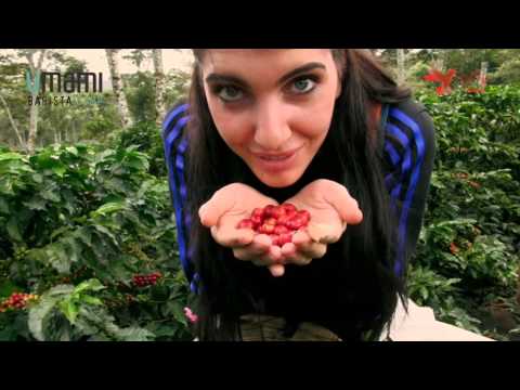 Umami Barista Camp with Jose Omar Rodriguez Romero