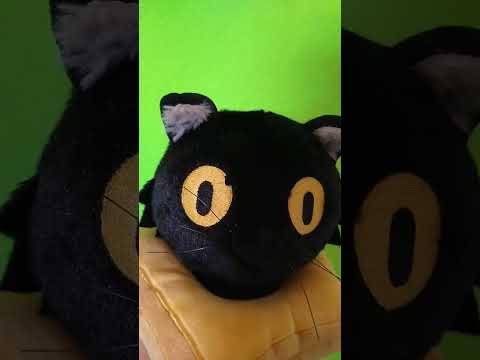 Ralph and Bella Nyan cat short