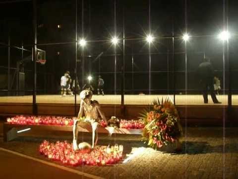 Dražen Petrović, Šibenik, Baldekin 6.06.2013.