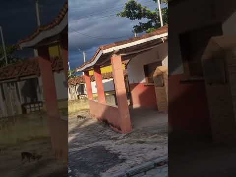 Você ouviu o chamado ? atenda logo. #roça #bahia #caravelas #prado