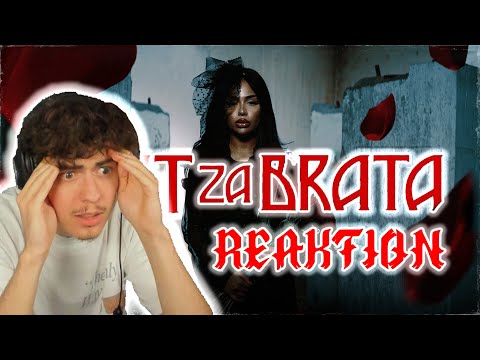 DIE 4 KATZENRAPPER!... Scenzah x JURI x Sun Diego x Mois BRAT ZA BRATA | REACTION