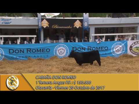 20-10-17 Venta de Terneras Angus P.P. - Cabaña Don Romeo - Olavarria.