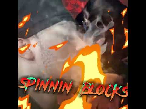 Moeskii - Spinnin Blocks (LEAK)