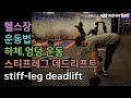 스티프레그 데드리프트(stiff-leg deadlift), 덤벨운동, 하체운동, 전신운동, 운동, 다이어트, 헬스장 운동[건디ROY]