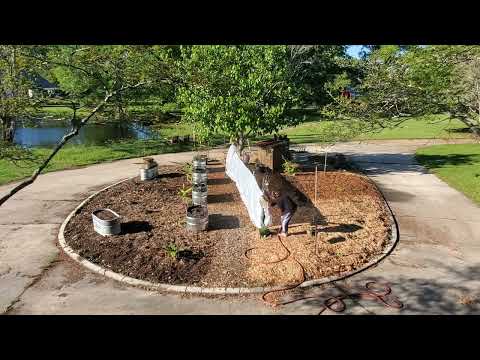 March 19, 2023 The Fool's Spring made a fool of me. Trying to protect plants from 29 degrees..