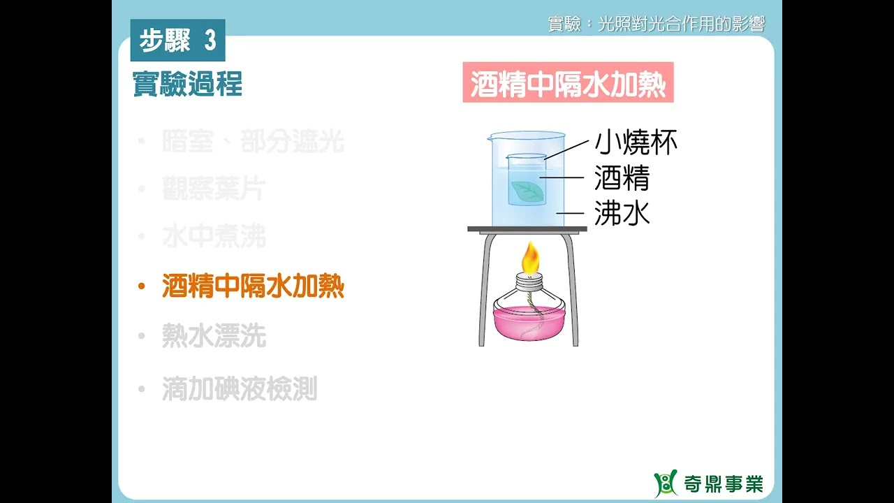 單元2：光照對光合作用的影響