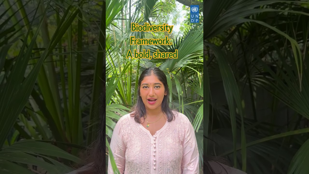 Why do we really need a day for #biodiversity conservation? Let’s break it down!