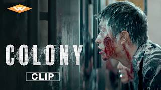 COLONY - 