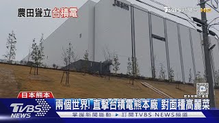 [問卦] 在TSMC對面種的高麗菜一顆多少錢