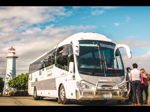 Barnabus - Luxury 57 seat tour coach (Scania)