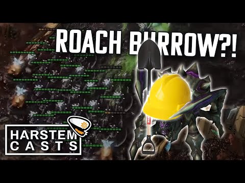 BLAST From The PAST VortiX Is Back ! | GunGFuBanDa(P) vs VortiX (Z)