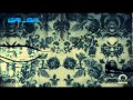 Chavoshi - Parvaneha REMIX 