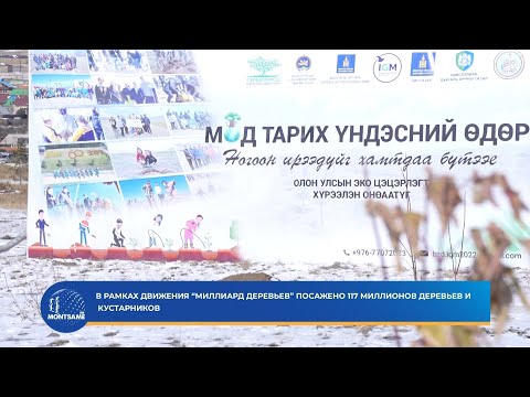 В рамках движения “Миллиард деревьев” посажено 117 миллионов деревьев и кустарников