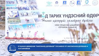 В рамках движения “Миллиард деревьев” посажено 117 миллионов деревьев и кустарников