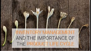Inventory Management and the Importance of the Product Life Cycle