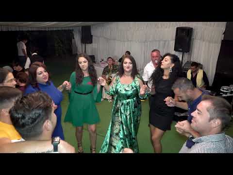 "NEW 2020". Petrică Piteşteanu & Formaţia Piteştenii - Colaj Hore Live 100% .