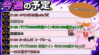 今週の予定